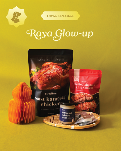 Raya Glow-up Set 🐔🐟