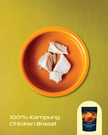 Raya Glow-up Set 🐔🐟