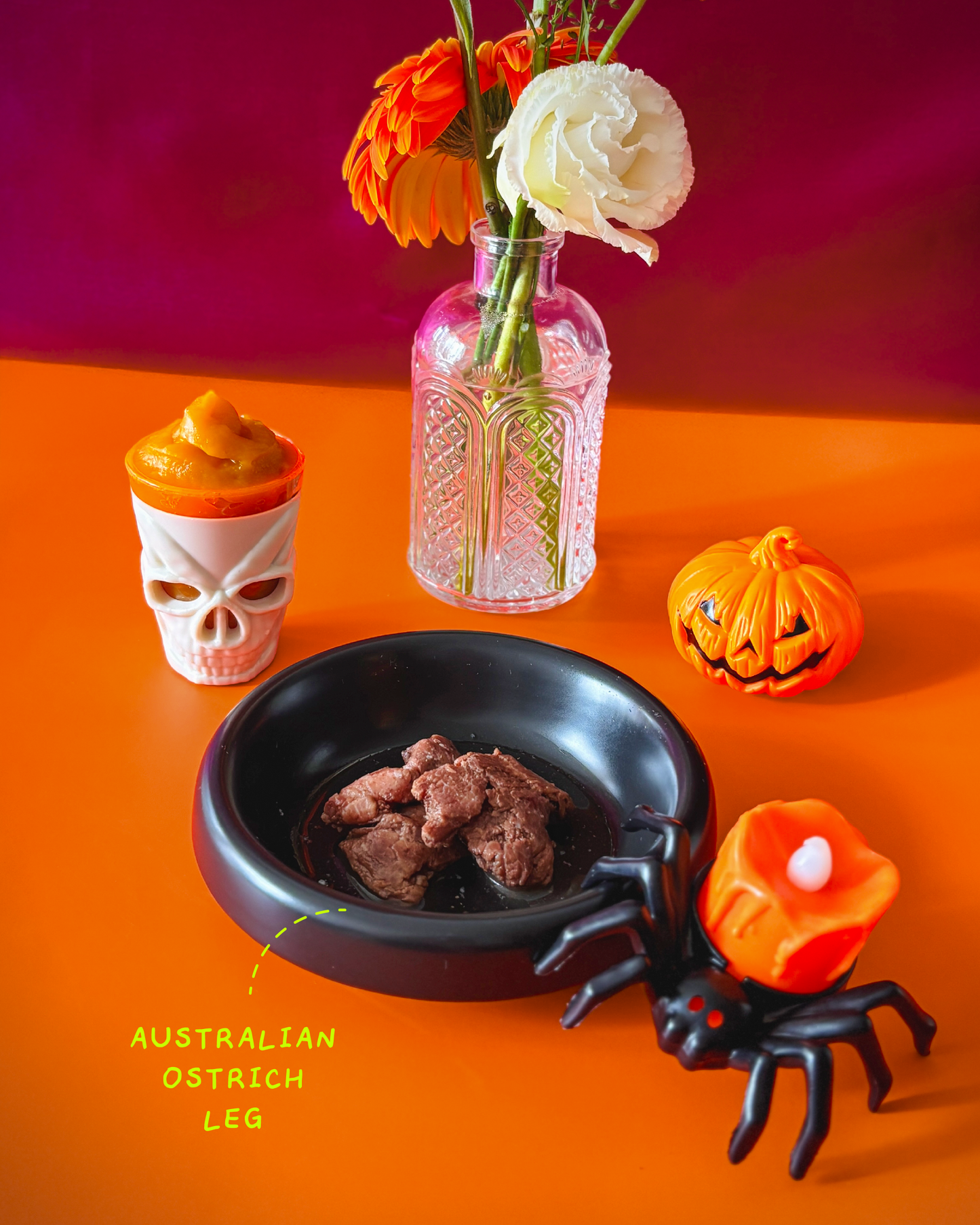 Australian Roast Ostrich (8 packs) [For Cats🐱 and Dogs🐶]