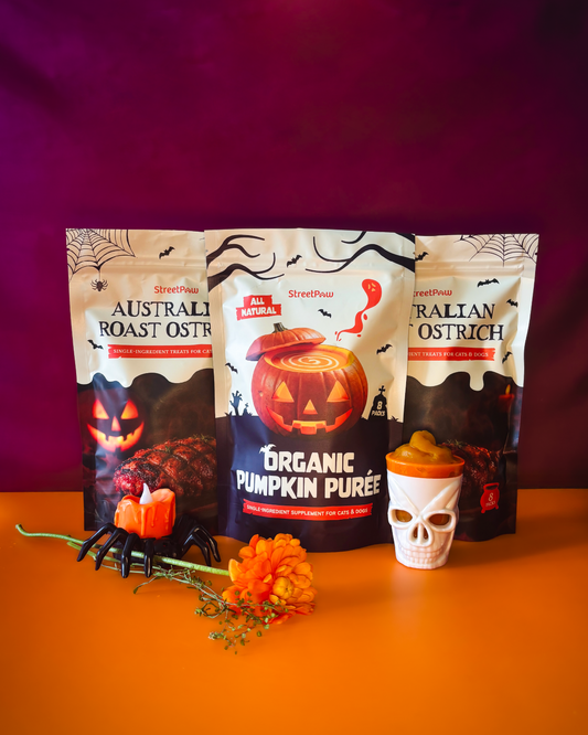Eerily Good Feast [For Cats🐱 and Dogs🐶]