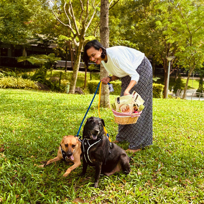 StreetPaw x TheCollarBone: Let's go Picnic! [For Cats🐱 and Dogs🐶]