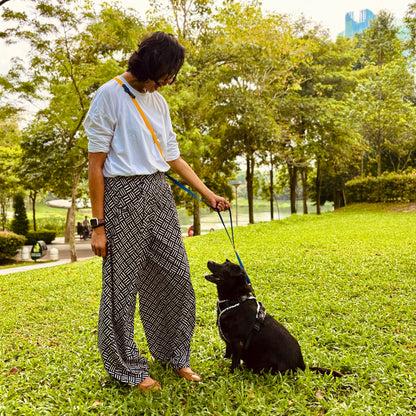 StreetPaw x TheCollarBone: Let's go Picnic! [For Cats🐱 and Dogs🐶]