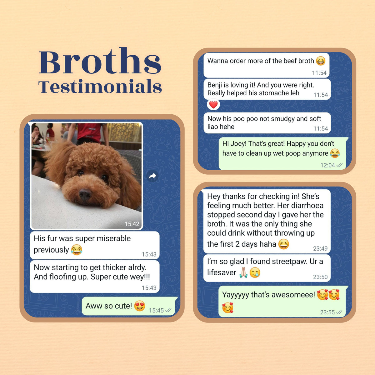 Fantastic 5! Broth [5 bottle x 250ml] [For Cats🐱 & Dogs🐶]