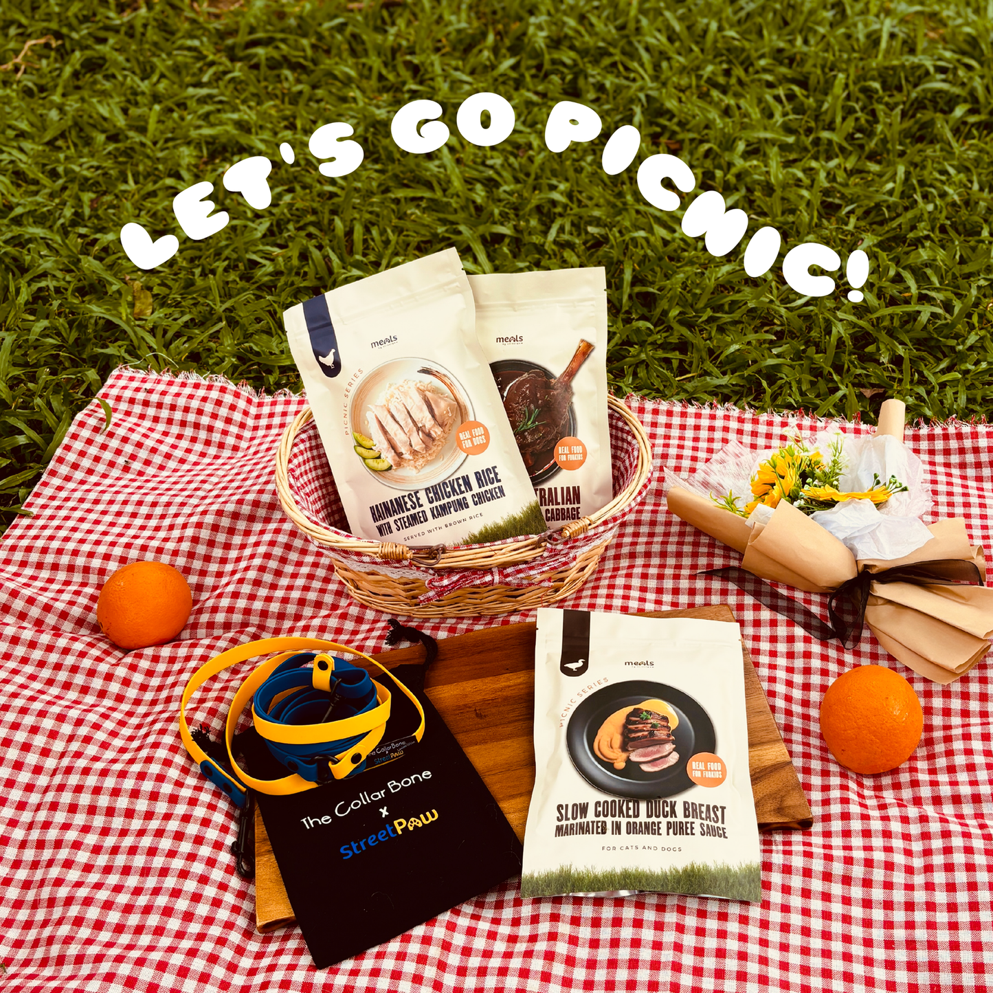 StreetPaw x TheCollarBone: Let's go Picnic! [For Cats🐱 and Dogs🐶]