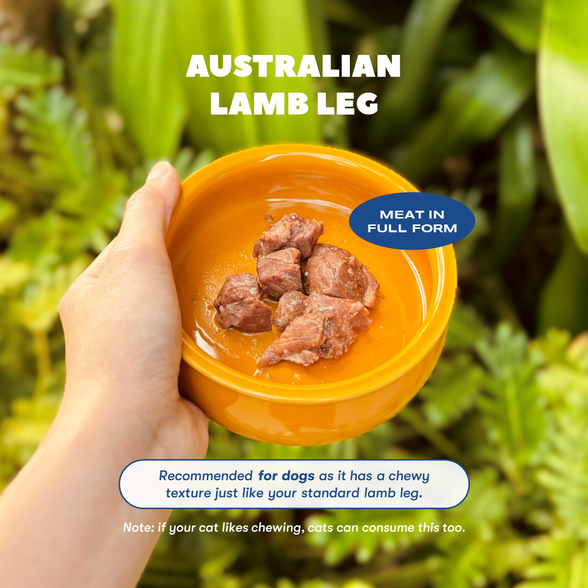 Australian Roast Lamb (Large Pack) [For Cats🐱 and Dogs🐶]