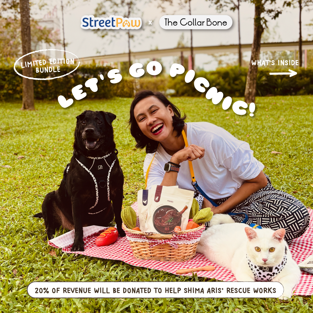 StreetPaw x TheCollarBone: Let's go Picnic! [For Cats🐱 and Dogs🐶]