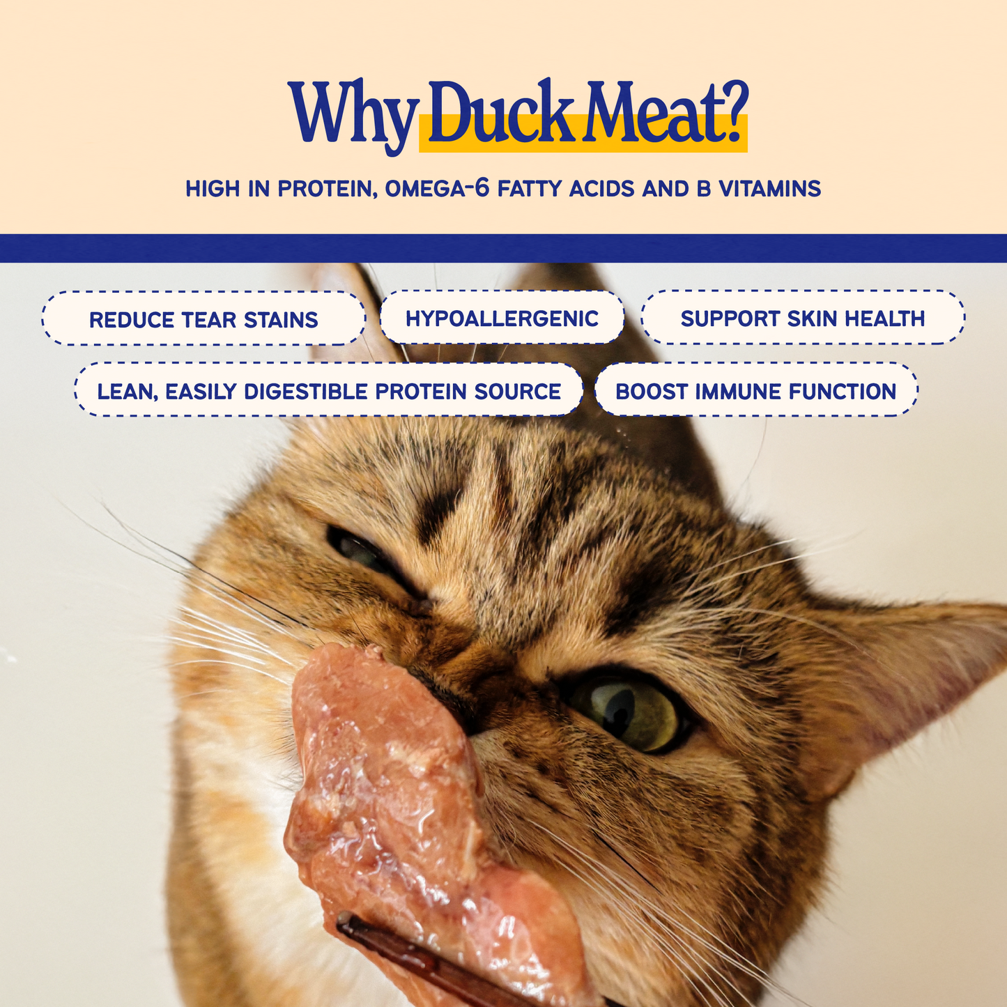 Roast Peking Duck (Large Pack) [For Cats🐱 and Dogs🐶]