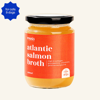 Atlantic Salmon Bone Broth (250ml)