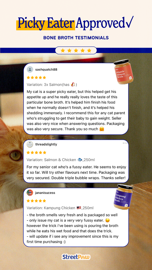 Australian Beef Bone Broth 250ml [For Cats🐱 and Dogs🐶]