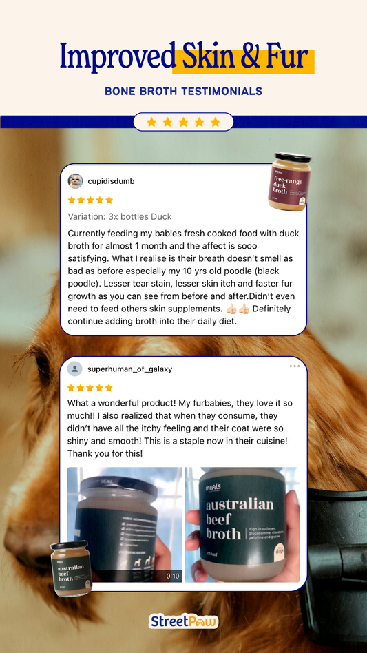 Australian Lamb Bone Broth 250ml [For Cats🐱 and Dogs🐶]