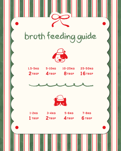 Santa's Big Birdy [For Cats🐱 and Dogs🐶]