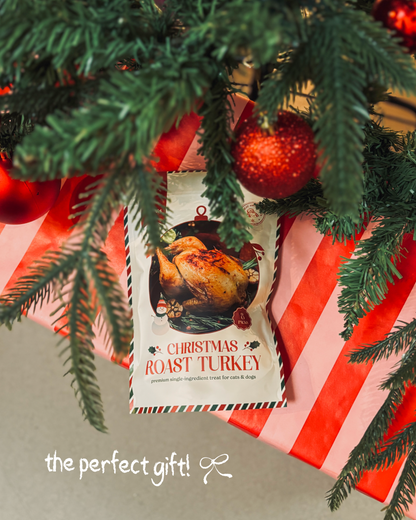 Santa's Big Birdy [For Cats🐱 and Dogs🐶]