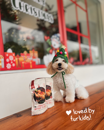 Santa's Big Birdy [For Cats🐱 and Dogs🐶]