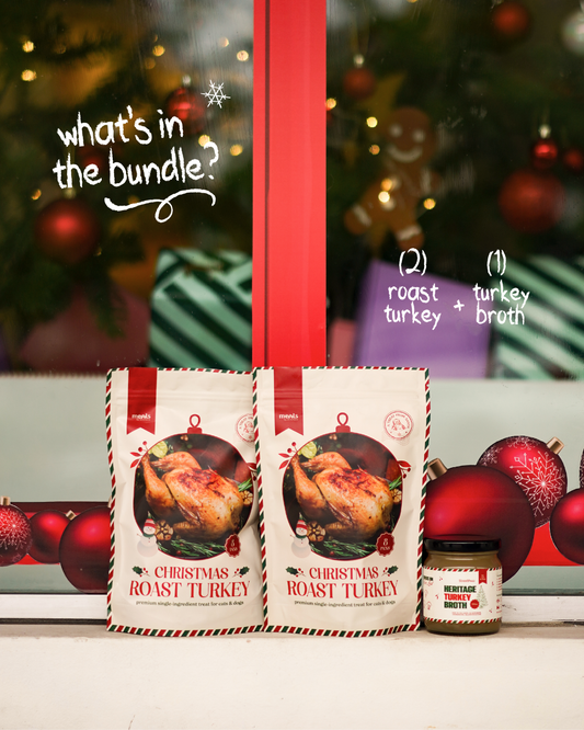 Santa's Big Birdy [For Cats🐱 and Dogs🐶]